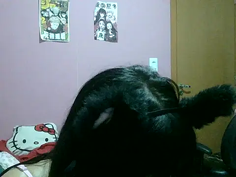 belletotosa online show from May 2, 3:56 am