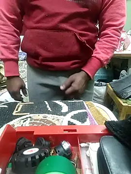 ShelfyOfferer online show from February 17, 11:54 pm
