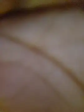 Drippincaty online show from March 6, 4:35 pm