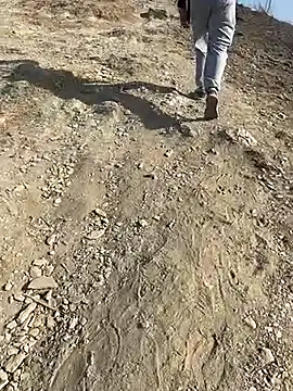 geroAguilar online show from February 28, 12:49 pm