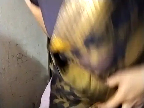 Mumbaistar online show from March 6, 5:35 am