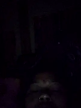 Bangarupapa online show from February 26, 12:32 am