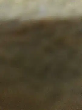 Bigdick pedro online show from September 9, 1:49 am