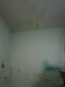  violetta - online show from November 1, 12:32 pm