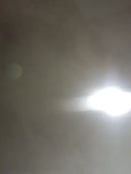  violetta - online show from November 5, 8:23 pm