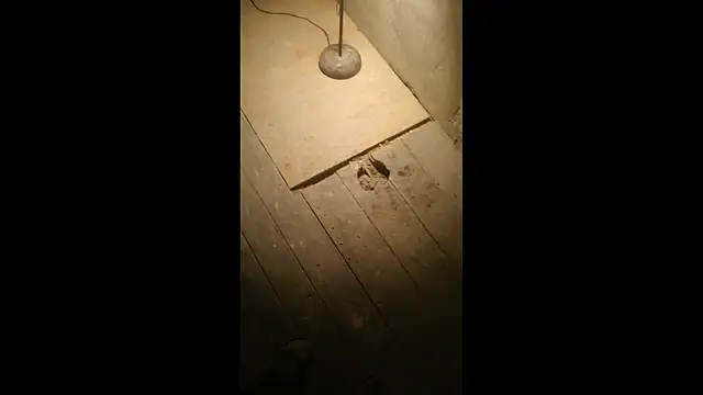 Snapshot of Bdsmslavebi chatting on March 23, 2:33 am Bdsmslavebi online show from March 23, 2:33 am