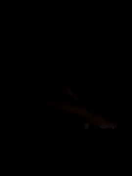 PEACHY439 online show from November 13, 5:11 am