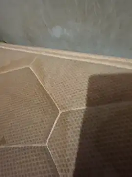 Chneor28 online show from February 11, 10:53 pm