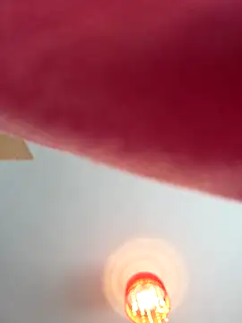 Chneor28 online show from January 12, 11:28 am