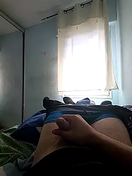 Chneor28 online show from November 12, 10:08 am