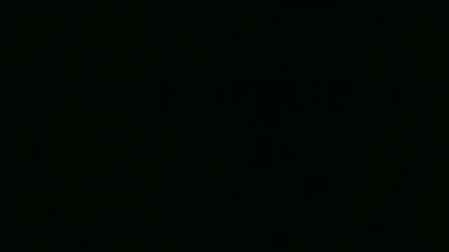 Garima G online show from April 7, 2:08 pm