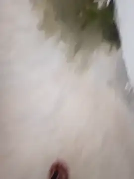 nick05inch online show from September 19, 12:53 pm