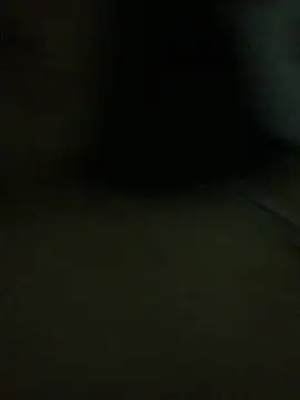 lalinha sapeka online show from April 15, 2:28 am