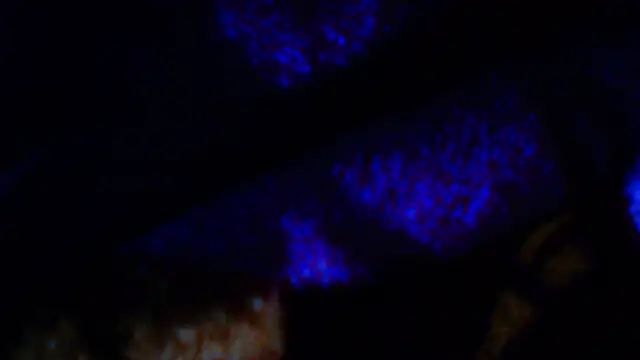 penesillo79 online show from December 18, 4:28 am