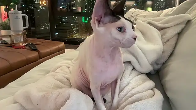 Graciemae baexx online show from December 23, 3:50 am