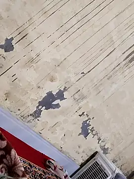 neena online show from November 26, 4:51 pm