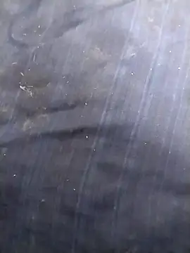 jellydicks online show from March 10, 12:42 pm