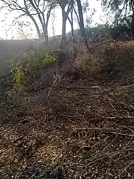 jellydicks online show from February 21, 2:02 am