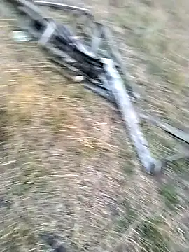 jellydicks online show from March 29, 12:51 pm