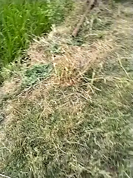 jellydicks online show from February 28, 11:54 am