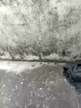 jellydicks online show from February 14, 6:46 am