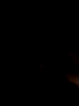 jellydicks online show from June 14, 5:41 am