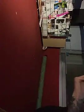 chavito2223 online show from February 10, 4:11 am