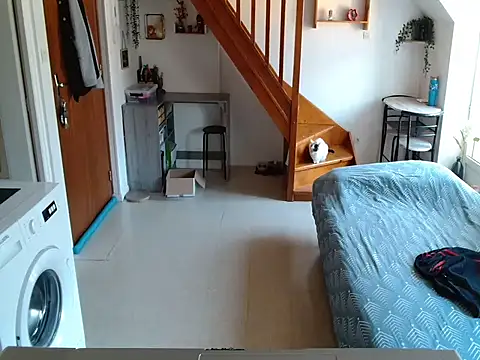 Lauzo21 online show from March 27, 6:33 am