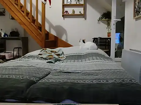 Snapshot of Lauzo21 chatting on December 5, 6:34 am Lauzo21 online show from December 5, 6:34 am