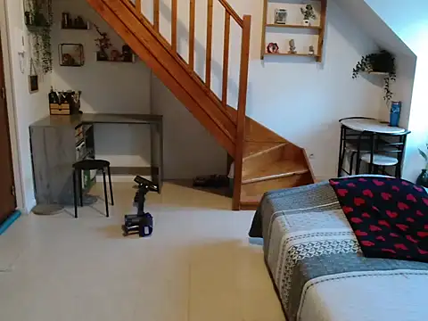 Lauzo21 online show from February 26, 6:35 am