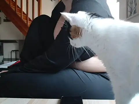 Lauzo21 online show from March 19, 6:35 am