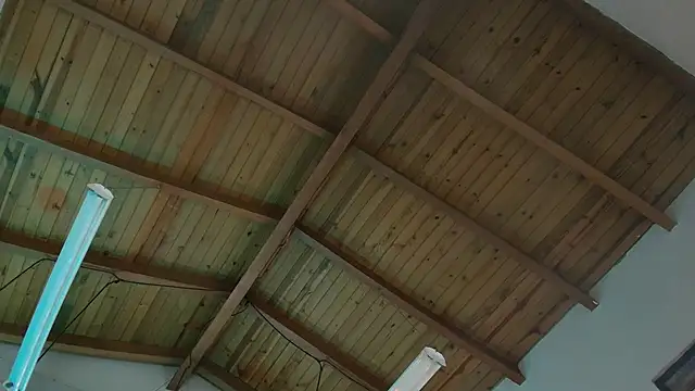 Snapshot of Venusflame__ chatting on November 29, 12:05 pm Venusflame online show from November 29, 12:05 pm