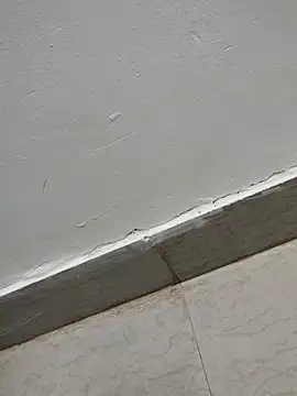 Tamilrojanew online show from March 7, 5:03 am