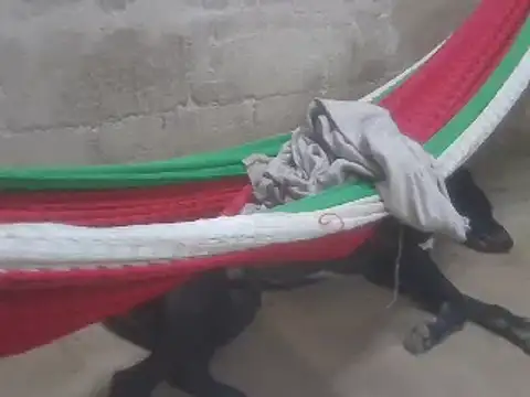 Snapshot of tripexnte chatting on February 16, 11:28 pm tripexnte online show from February 16, 11:28 pm