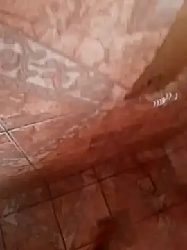 moder066 online show from January 29, 12:24 pm