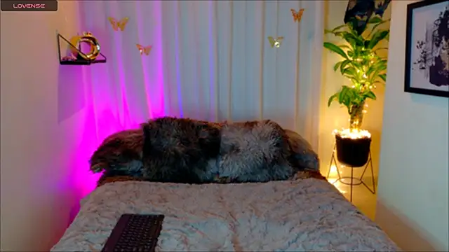 Kaaiiri online show from March 17, 10:29 am