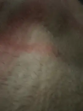 Juliano69xv online show from December 19, 2:19 pm