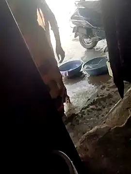 Snapshot of poojaji2024 chatting on March 16, 4:41 am poojaji2024 online show from March 16, 4:41 am