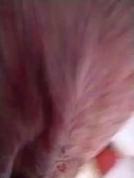 Pushpavathi 78 online show from April 13, 12:31 pm