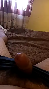 pedritolobito online show from January 31, 1:45 pm