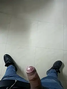 pedritolobito online show from December 3, 1:47 am