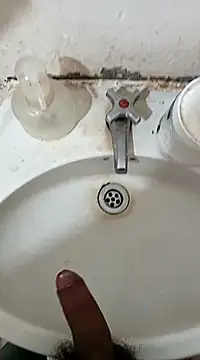 pedritolobito online show from February 27, 11:50 am