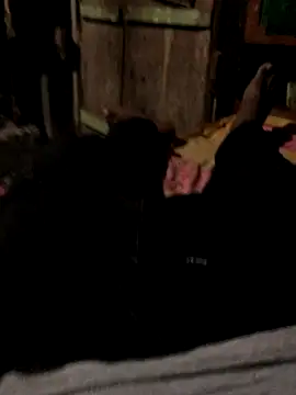 GapingConker online show from October 31, 11:40 am