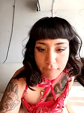 Snapshot of beabeaaok chatting on December 5, 8:17 pm beabeaaok online show from December 5, 8:17 pm