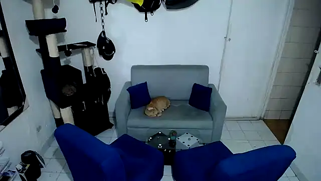 Snapshot of Pussycat_9999 chatting on December 2, 5:47 pm Pussycat 9999 online show from December 2, 5:47 pm