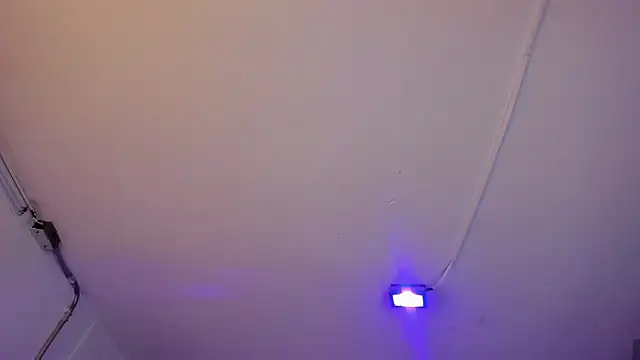 Amy Kiitty  online show from March 28, 1:12 pm