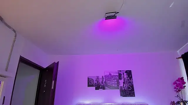 Amy Kiitty  online show from April 4, 1:17 pm