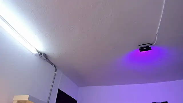 Amy Kiitty  online show from March 17, 12:52 pm