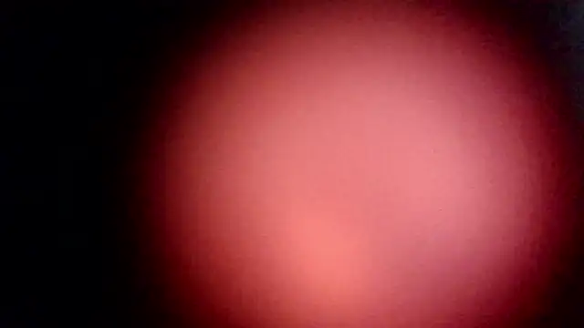 modenq online show from March 20, 2:29 pm