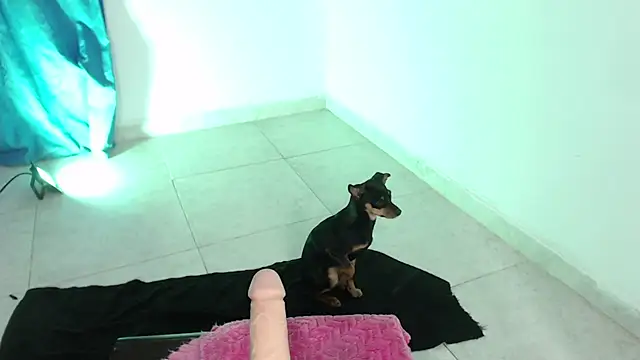 Snapshot of April_sexycurvi chatting on November 21, 1:37 am April sexycurvi online show from November 21, 1:37 am